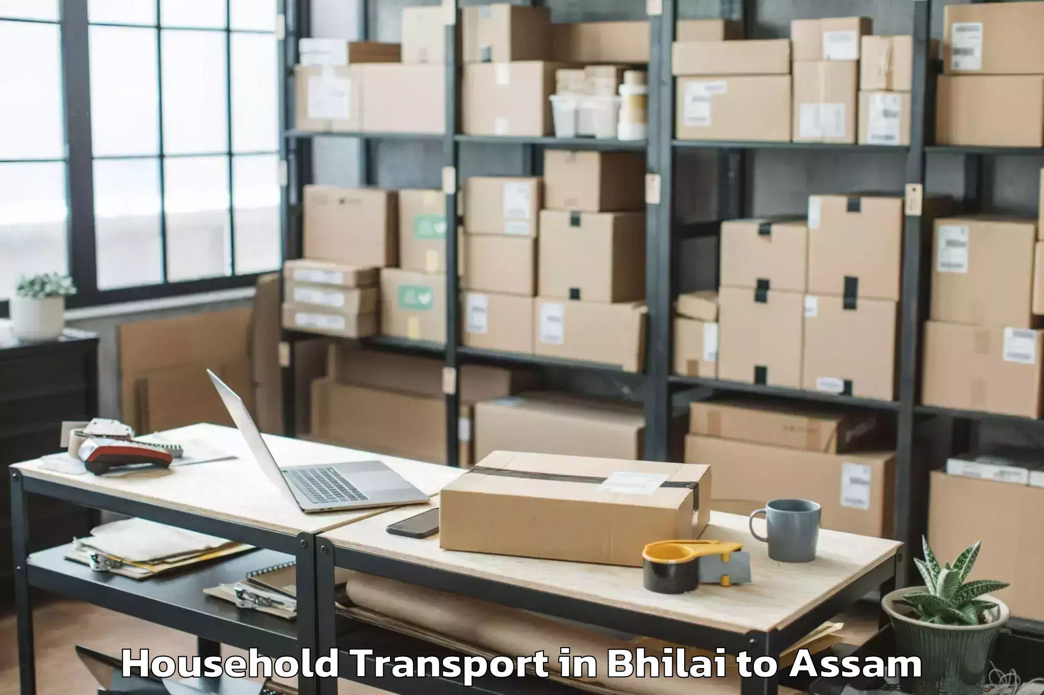 Efficient Bhilai to Likabali Household Transport